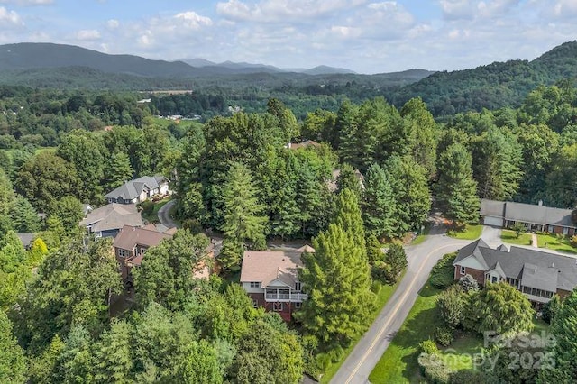 156 Circle Top Dr, Hendersonville, NC 28739 - photo 35
