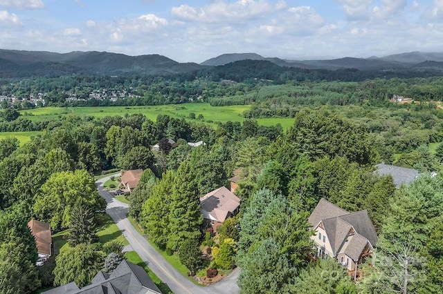 156 Circle Top Dr, Hendersonville, NC 28739 - photo 39