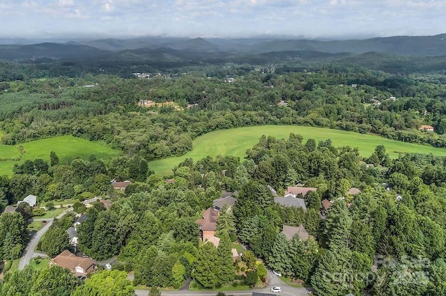 156 Circle Top Dr, Hendersonville, NC 28739 - photo 41