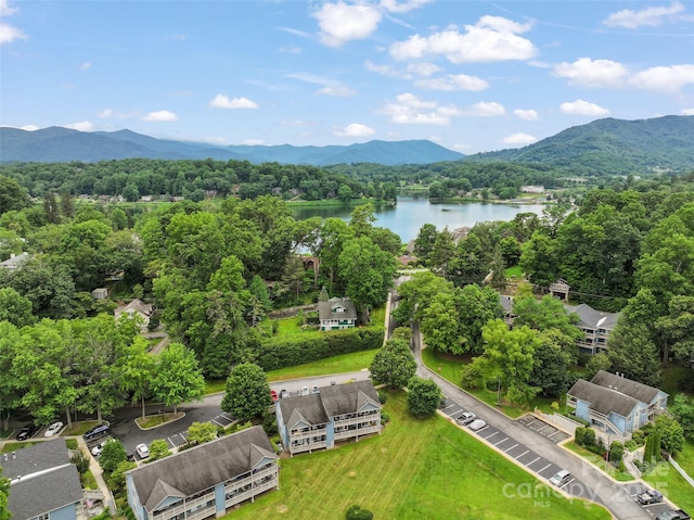 55 Tri Vista Dr Unit 703, Lake Junaluska, NC 28745 - photo 34