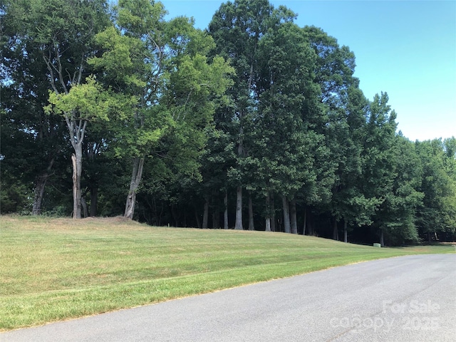 6639 Joli Cheval Ln Unit 4, Mint Hill, NC 28227 - photo 2