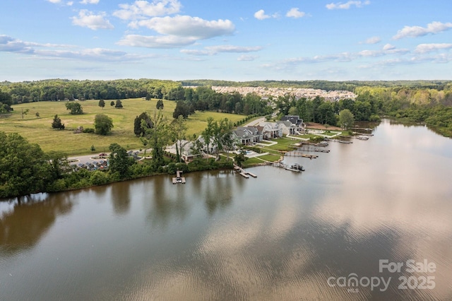 127 Atwater Landing Dr, Mooresville, NC 28117 - photo 39