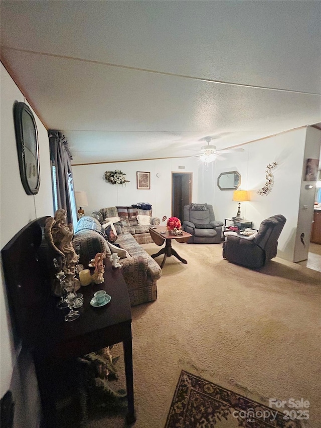 29746 Tiffany Woods Rd, Richfield, NC 28137 - photo 6