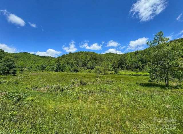 703 Coy Ham Rd, Lansing, NC 28643 - photo 10