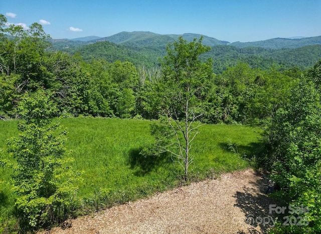 703 Coy Ham Rd, Lansing, NC 28643 - photo 15