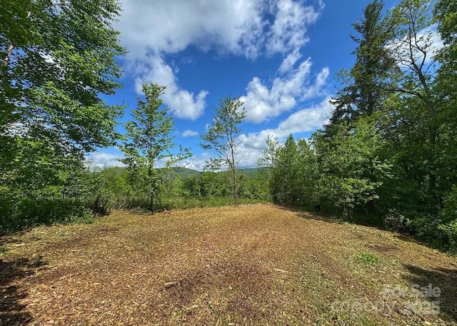 703 Coy Ham Rd, Lansing, NC 28643 - photo 17