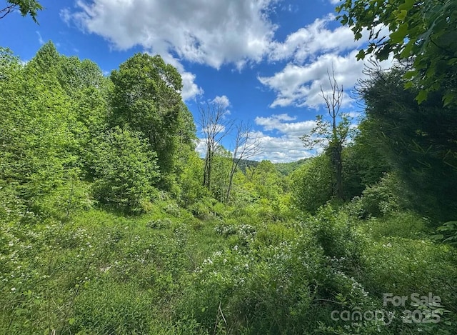 703 Coy Ham Rd, Lansing, NC 28643 - photo 18
