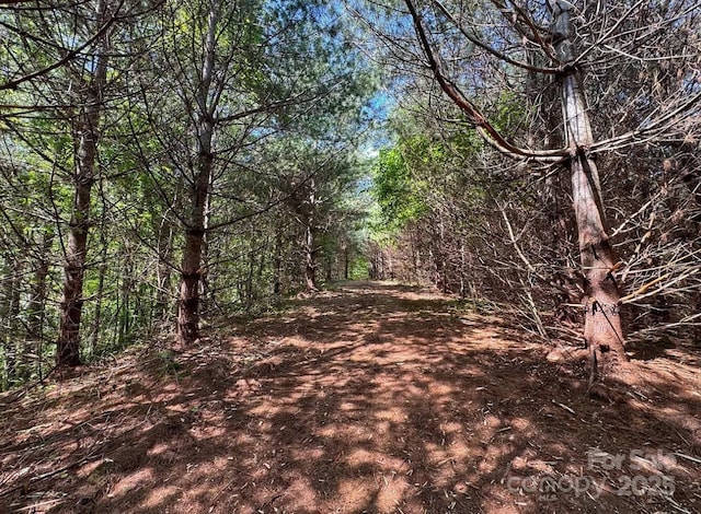 703 Coy Ham Rd, Lansing, NC 28643 - photo 19