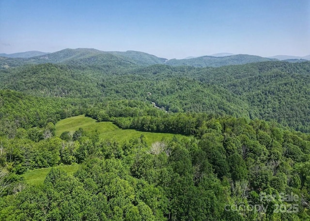 703 Coy Ham Rd, Lansing, NC 28643 - photo 20