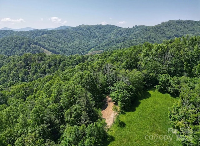 703 Coy Ham Rd, Lansing, NC 28643 - photo 21