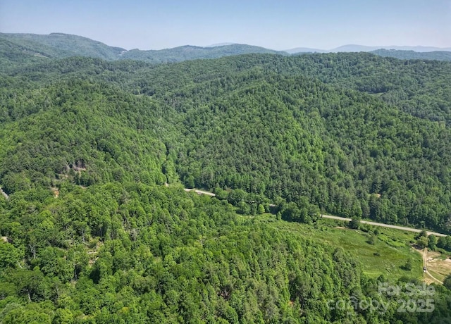 703 Coy Ham Rd, Lansing, NC 28643 - photo 22