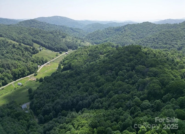 703 Coy Ham Rd, Lansing, NC 28643 - photo 23