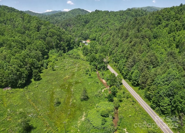 703 Coy Ham Rd, Lansing, NC 28643 - photo 24