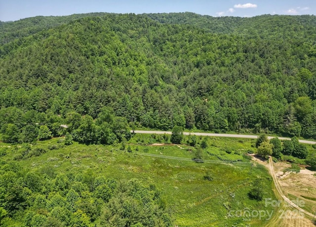 703 Coy Ham Rd, Lansing, NC 28643 - photo 28