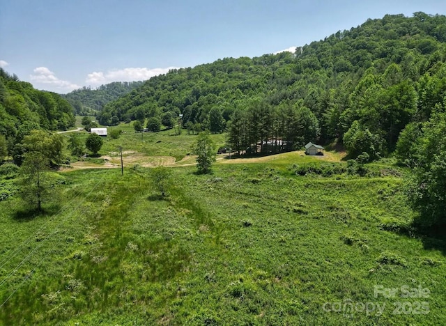 703 Coy Ham Rd, Lansing, NC 28643 - photo 30