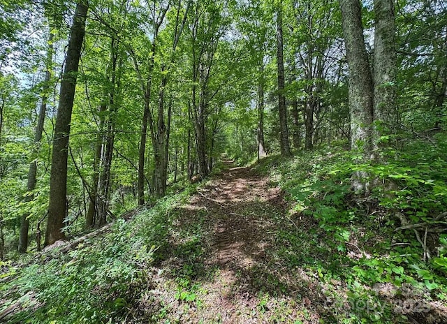 703 Coy Ham Rd, Lansing, NC 28643 - photo 32