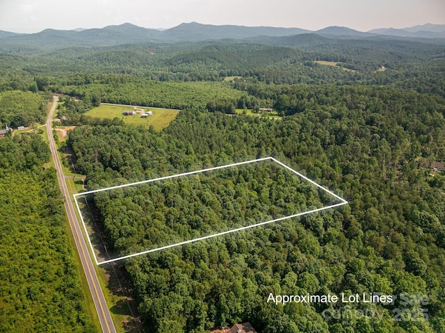 0 Boy Scout Rd, Rutherfordton, NC 28139 - photo 2