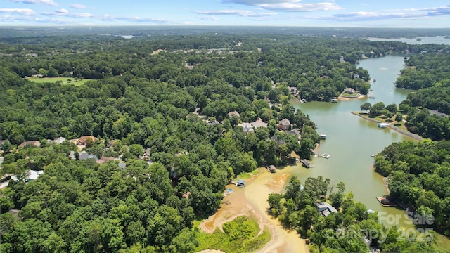 12041 Spinnaker Dr, Tega Cay, SC 29708 - photo 48