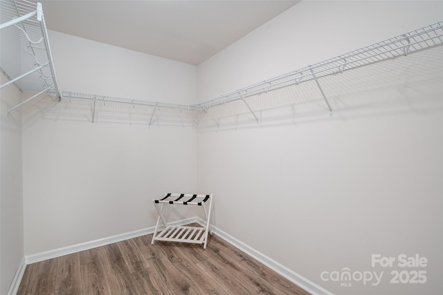 4312 Plumeria Way, Fort Mill, SC 29707 - photo 29