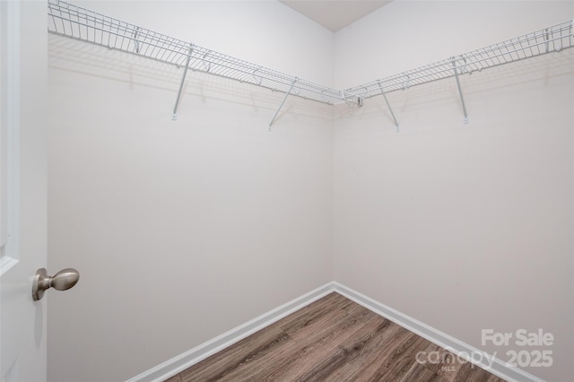 4312 Plumeria Way, Fort Mill, SC 29707 - photo 32