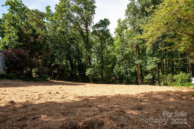 137 Meadowbrook Ln Unit 4, Davidson, NC 28036 - photo 2