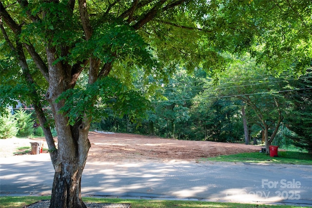 137 Meadowbrook Ln Unit 4, Davidson, NC 28036 - photo 3