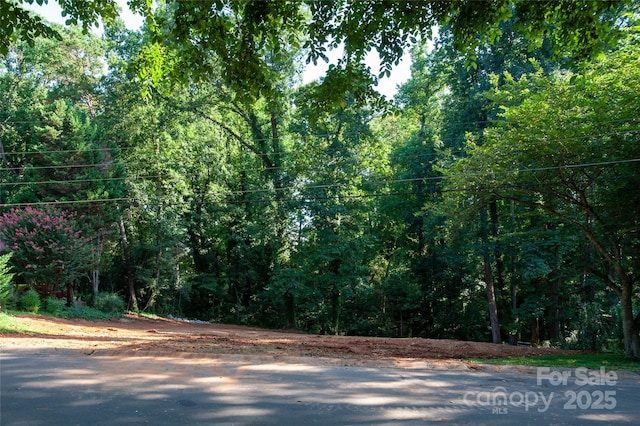137 Meadowbrook Ln Unit 4, Davidson, NC 28036 - photo 4