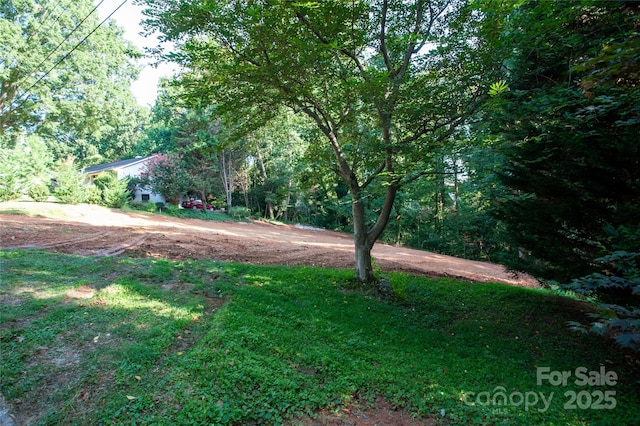 137 Meadowbrook Ln Unit 4, Davidson, NC 28036 - photo 6