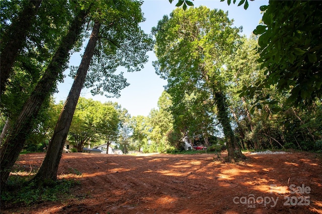 137 Meadowbrook Ln Unit 4, Davidson, NC 28036 - photo 10