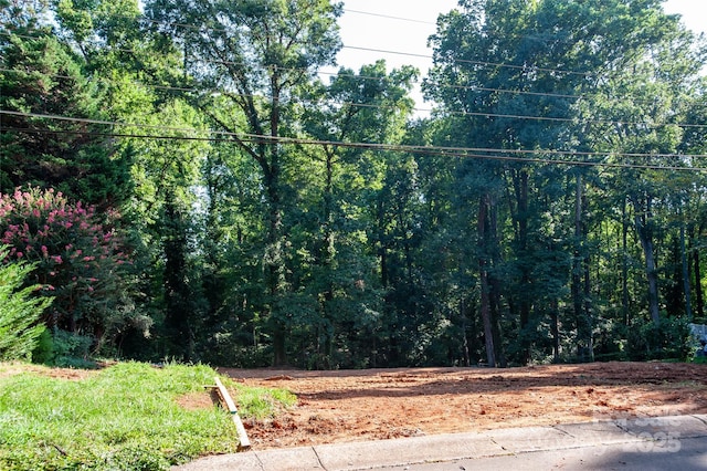 137 Meadowbrook Ln Unit 4, Davidson, NC 28036 - photo 14