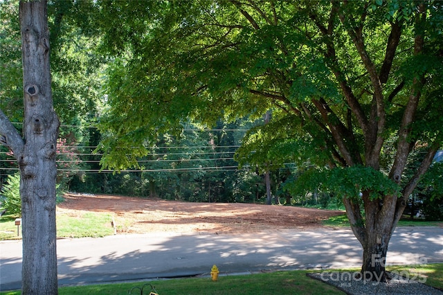137 Meadowbrook Ln Unit 4, Davidson, NC 28036 - photo 15