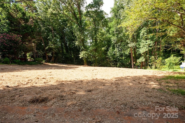 137 Meadowbrook Ln Unit 4, Davidson, NC 28036 - photo 18