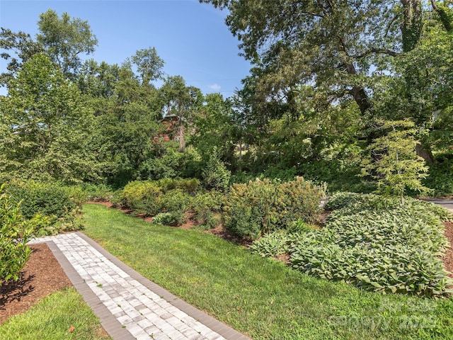 149 Courtland Ave Unit 5, Asheville, NC 28801 - photo 23