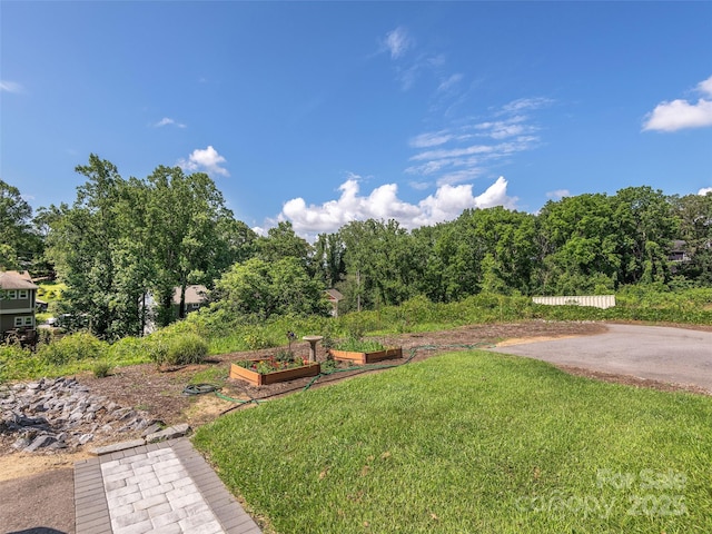 149 Courtland Ave Unit 5, Asheville, NC 28801 - photo 24