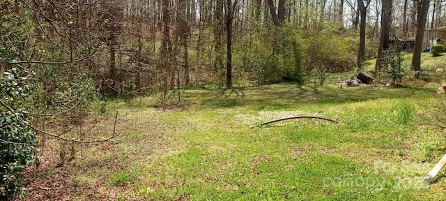 141 Williams Rd, Bessemer City, NC 28016 - photo 18