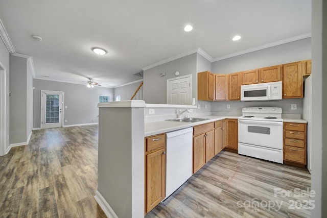 13719 Singleleaf Ln, Charlotte, NC 28278 - photo 5