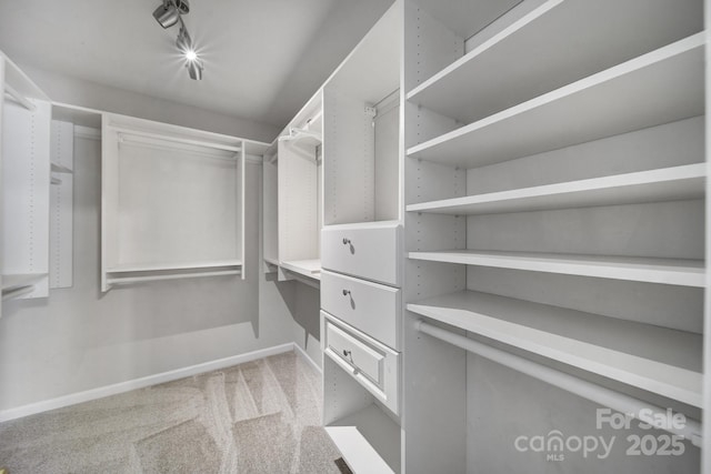 13719 Singleleaf Ln, Charlotte, NC 28278 - photo 22