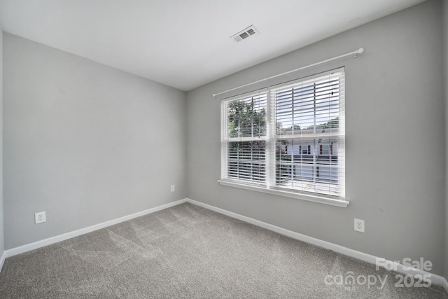 13719 Singleleaf Ln, Charlotte, NC 28278 - photo 23