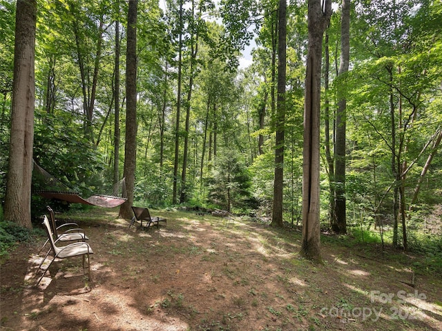 264 Charming Ln, Hendersonville, NC 28792 - photo 28