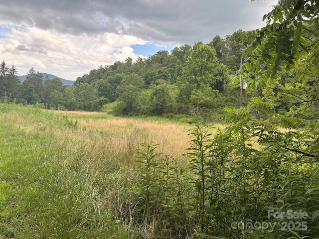 TBD Robert Phillips Rd, Bakersville, NC 28705 - photo 1