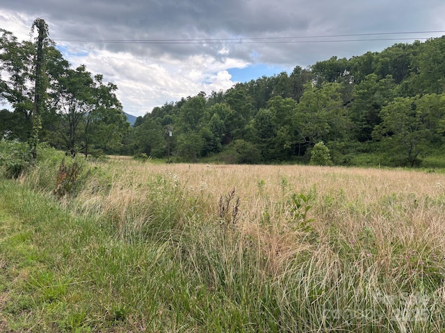 TBD Robert Phillips Rd, Bakersville, NC 28705 - photo 2