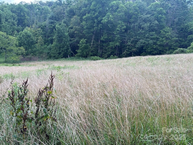 TBD Robert Phillips Rd, Bakersville, NC 28705 - photo 3