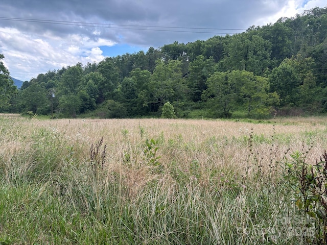 TBD Robert Phillips Rd, Bakersville, NC 28705 - photo 4