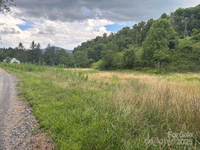 TBD Robert Phillips Rd, Bakersville, NC 28705 - photo 5