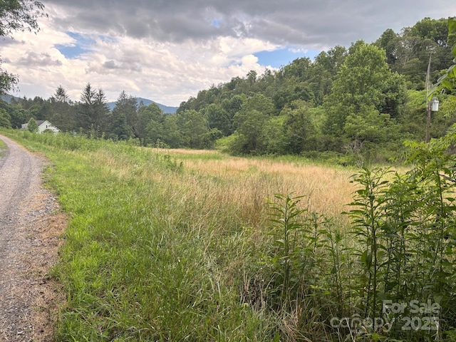 TBD Robert Phillips Rd, Bakersville, NC 28705 - photo 6