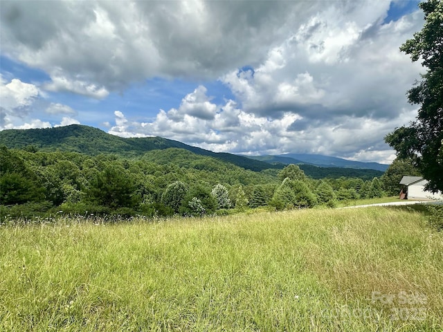 9 Dream Valley Dr Unit 9, Clyde, NC 28721 - photo 1