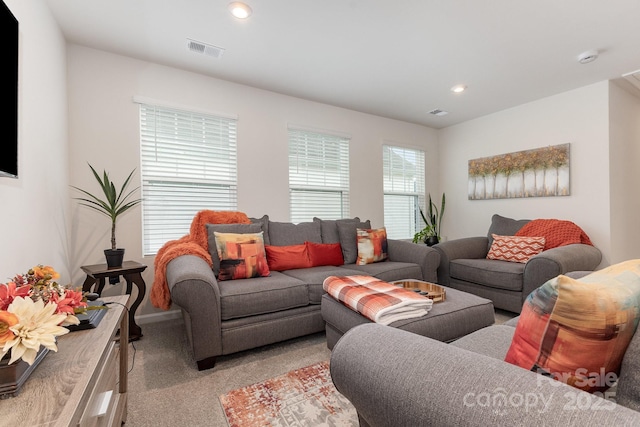 13327 Savaine St, Charlotte, NC 28278 - photo 13