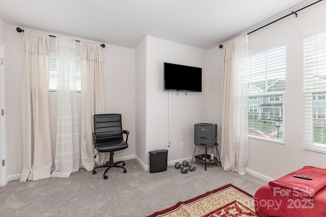 13327 Savaine St, Charlotte, NC 28278 - photo 27