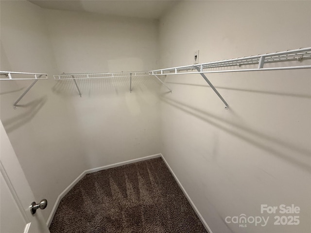 5687 Stafford Rd, Charlotte, NC 28215 - photo 21
