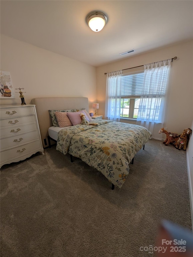 3049 Hartson Pointe Dr, Fort Mill, SC 29707 - photo 17